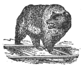 AJ Johnston - Sacramento - 1